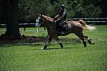 So8ths-4-29-11-2484-DDeRosaPhoto.JPG