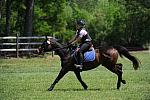 So8ths-4-29-11-2583-DDeRosaPhoto.JPG