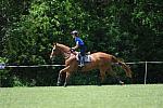 So8ths-4-29-11-2608-DDeRosaPhoto.JPG