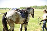 So8ths-4-30-11-4104-DDeRosaPhoto.JPG