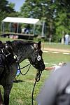 So8ths-4-30-11-4122-DDeRosaPhoto.JPG