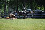 So8ths-4-30-11-5008-JimBaker-Wings-DDeRosaPhoto.JPG