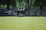 So8ths-4-30-11-5012-JimBaker-Wings-DDeRosaPhoto.JPG