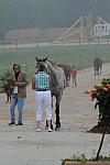 So8ths-5-1-11-5436-DDeRosaPhoto.JPG