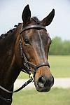 So8ths-5-1-11-6177-EmilyBug-DDeRosaPhoto.JPG