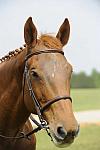 So8ths-5-1-11-6184-PennyLane-AnnieLane-Maunder-DDeRosaPhoto.JPG