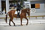 So8ths-4-29-11-DR-1994-AnnieLane-Maunder-PennyLane-DDeRosaPhoto.JPG
