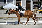 So8ths-4-29-11-DR-2006-AnnieLane-Maunder-PennyLane-DDeRosaPhoto.JPG