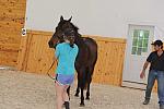 So8ths-4-28-11-0762-DDeRosaPhoto.JPG