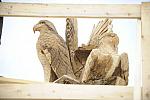 So8ths-4-27-11-0563-RandyBoniSculpture-DDeRosaPhoto.JPG