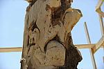 So8ths-4-29-11-2496-DDeRosaPhoto.JPG