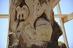 So8ths-4-29-11-2502-DDeRosaPhoto.JPG