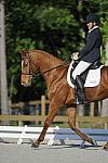 Dressage-So8ths-4-29-11-DR-1330-CorinneAshton-Dobbin-DDeRosaPhoto.JPG