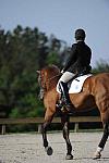 Dressage-So8ths-4-29-11-DR-1425-DomSchramm-Arnold-DDeRosaPhoto.JPG