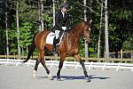 Dressage-So8ths-4-29-11-DR-1448-DomSchramm-Arnold-DDeRosaPhoto.JPG