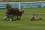 Spruce-Meadows-9-3-13-5230-DDeRosaPhoto