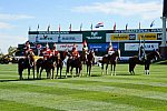 Spruce-Meadows2-9-4-13-2638-KentFarrington-AkitaCup-DDeRosaPhoto