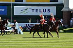 Spruce-Meadows2-9-4-13-2668-DDeRosaPhoto