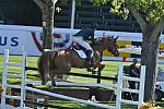 Spruce-Meadows-9-4-13-5887-ConorSwail-Lansdowne-IRL-DDeRosaPhoto