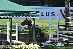 Spruce-Meadows-9-4-13-6357-LeslieHoward-Wintu-USA-DDeRosaPhoto