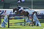 Spruce-Meadows-9-4-13-6592-NicolaPhilippaerts-EarlyMorningMist-BEL-DDeRosaPhoto