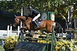 Spruce-Meadows-9-4-13-6871-PieterDevos-EquipharmaDaxVanDabdkjhoeve-BEL-DDeRosaPhoto