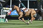 Spruce-Meadows-9-4-13-7078-ConorSwail-MarthaLouise-IRL-DDeRosaPhoto