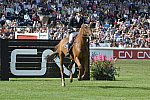 Spruce-Meadows-9-8-13-3589-PieterDevos-Candy-BEL-DDeRosaPhoto