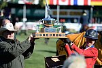 Spruce2-9-11-14-1567-DDeRosaPhoto