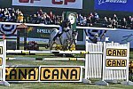 Spruce-9-11-14-CANA-3911-KentFarrington-Uceko-USA-DDeRosaPhoto
