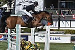 Spruce-TelusCup-9-11-14-2158-PieterDevos-EchoD-BEL-DDeRosaPhoto