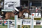 Spruce-TelusCup-9-11-14-1846-GuyWilliams-Basic-GBR-DDeRosaPhoto