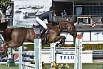 Spruce-TelusCup-9-11-14-1998-KevinStaut-EstoyAquiDeMuzeHDC-FRA-DDeRosaPhoto