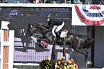 Spruce-TelusCup-9-11-14-2191-TiffanyFoster-TrippleXIII-CAN-DDeRosaPhoto