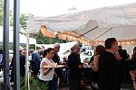 TRIFF-Gala-10-11-18-7878-DDeRosaPhoto
