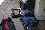 Cats-5-14-09-060-DDeRosaPhotos.jpg