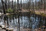Property-4-4-09-17-DDeRosaPhoto