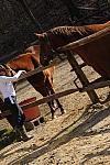 Property-4-4-09-95-DDeRosaPhoto