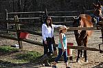 Property-4-4-09-97-DDeRosaPhoto