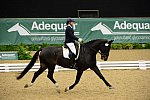 DressageFinals-10-7-13-0314-AmandaJohnson-Foley-DDeRosaPhoto