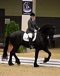 DressageFinals-10-7-13-0322-LindaStrine-BeerendW-DDeRosaPhoto