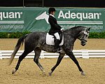 DressageFinals-10-7-13-0371-CariannWlosinski-Rhiannon-DDeRosaPhoto