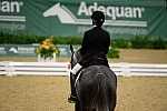 DressageFinals-10-7-13-0383-CariannWlosinski-Rhiannon-DDeRosaPhoto