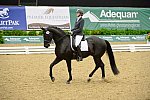 DressageFinals-10-7-13-0402-SusanJones-Connaisseur-DDeRosaPhoto