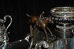 390-USEF-1-12-08-DDeRosaPhoto.jpg