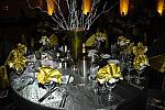 414-USEF-1-12-08-DDeRosaPhoto.jpg