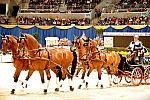 10-24-08-WIHS-731-DeRosaPhoto