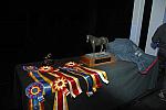USEF-1-14-10-168-DDeRosaPhoto.jpg
