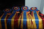 USEF-1-14-10-171-DDeRosaPhoto.jpg