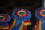 USEF-1-14-10-172-DDeRosaPhoto.jpg